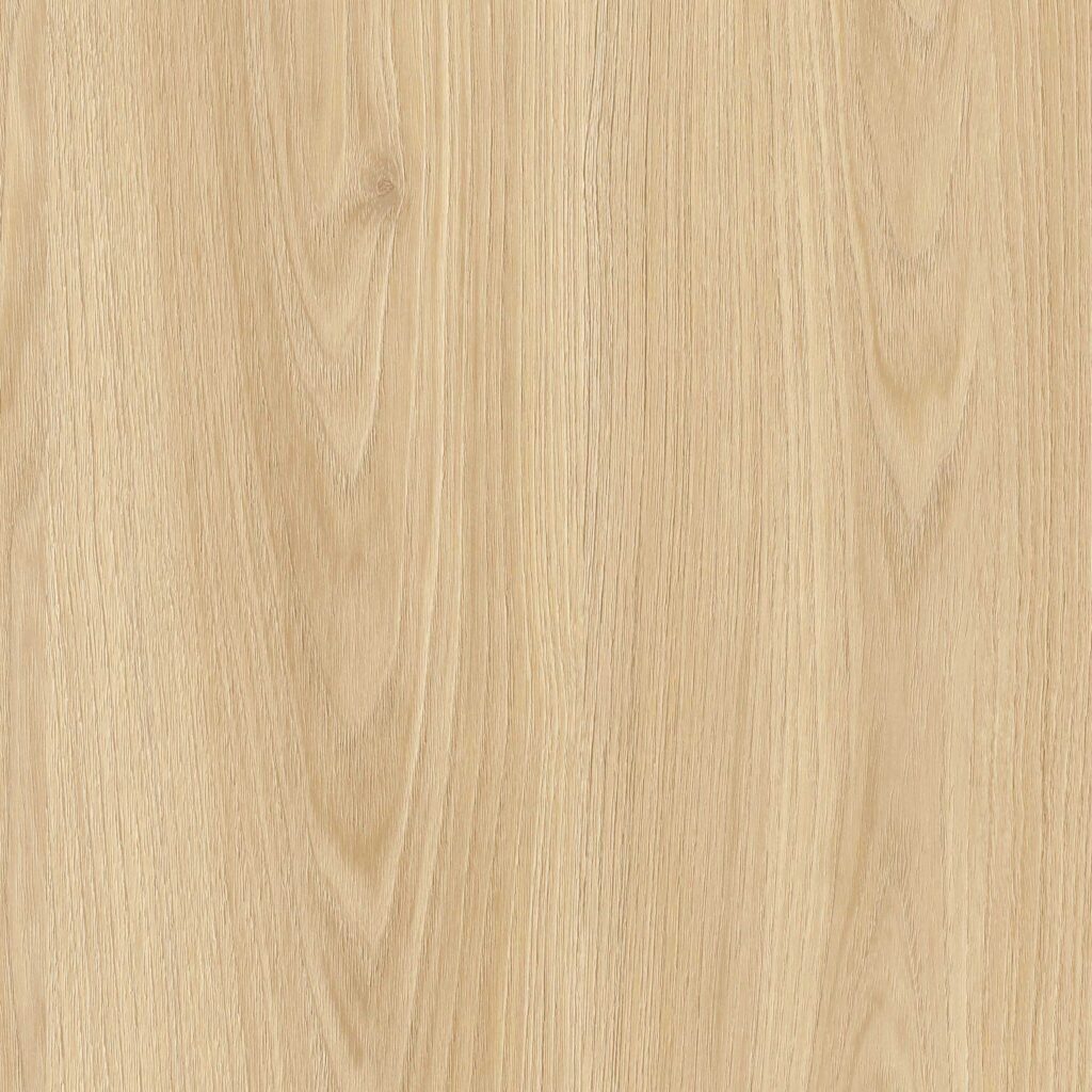 Acacia Honey