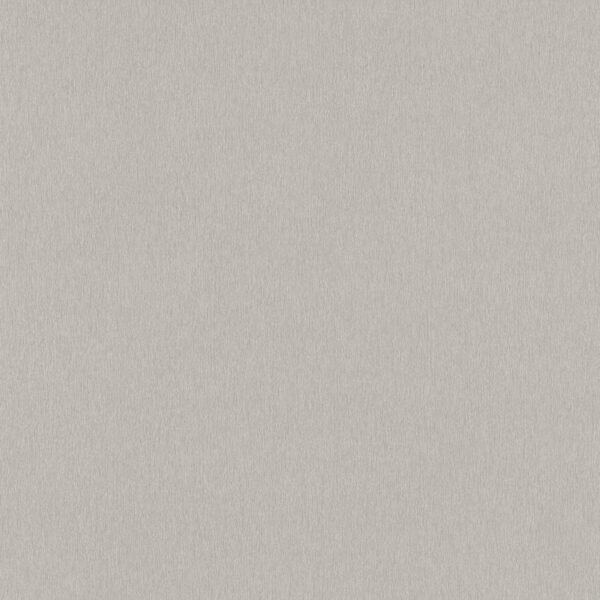Brushed Aluminum