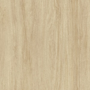 Mojave