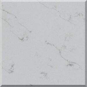 M41 A1 Organic