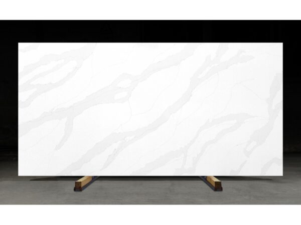 F113 Fantasia Silver - Image 2