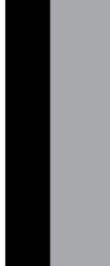 9713 Skirtboard
