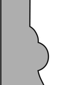 TM1